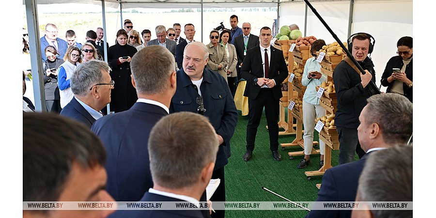 Александр Лукашенко о хранении и реализации картофеля: нужно на полную катушку подключать торговые сети