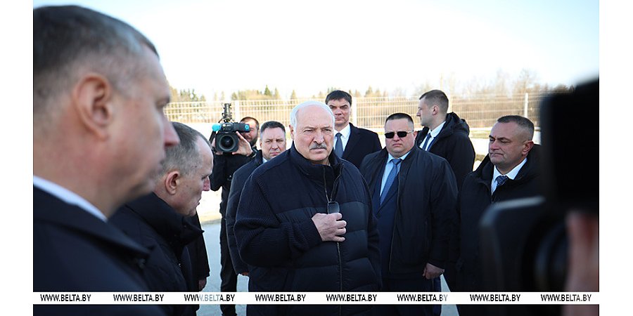 Александр Лукашенко ориентирует на более быстрое развитие племенного животноводства в Беларуси 