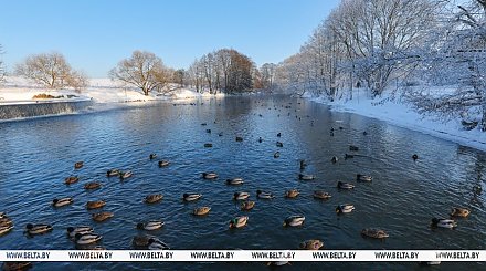 В Беларуси станет значительно теплее. Прогноз погоды на неделю