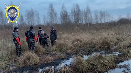 СК назвал предварительную причину смерти пропавшего в Березинском районе ребенка