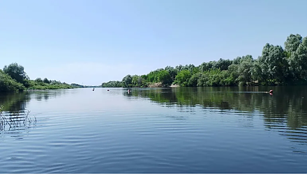 Народные приметы на 1 августа: что можно и нельзя делать в этот день