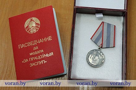 Профессионалы и преданные малой родине люди