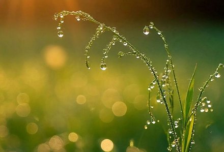 В Беларуси похолодает: синоптики прогнозируют до 7°C