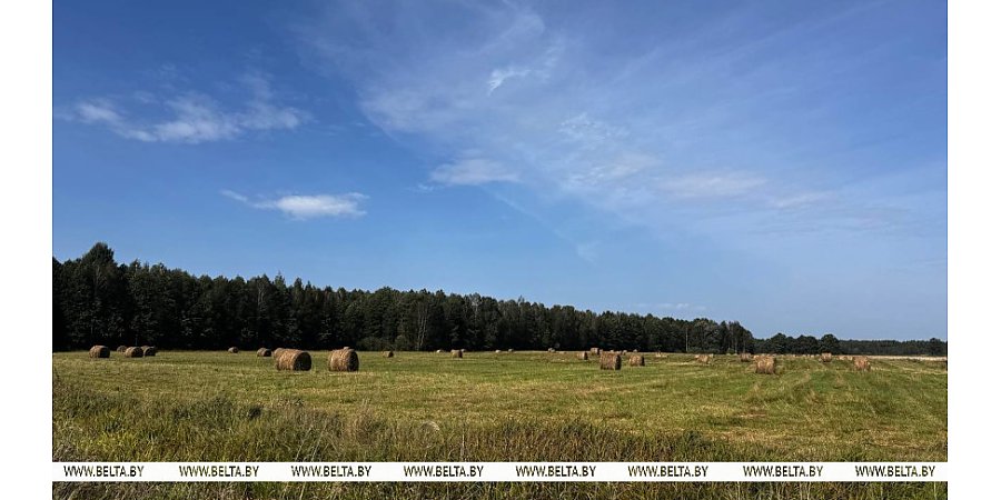 До +20°С ожидается сегодня в Беларуси