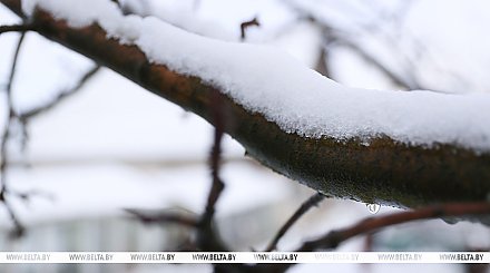 Теплый день с небольшими осадками ожидается в Беларуси 2 марта