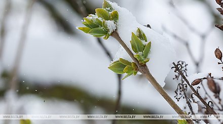 Мокрый снег и гололедица. Чего ждать от погоды 9 апреля?