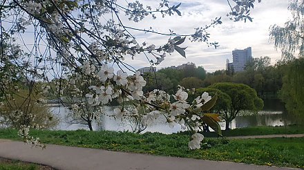 Дожди, грозы и мокрый снег. Синоптики не обнадежили весенним прогнозом на ближайшую неделю