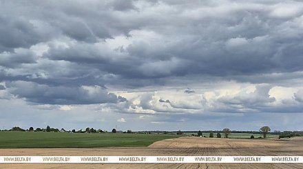 Дождливая погода с грозами ожидается сегодня в Беларуси
