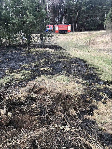 В Вороновском районе снова горела сухая растительность 