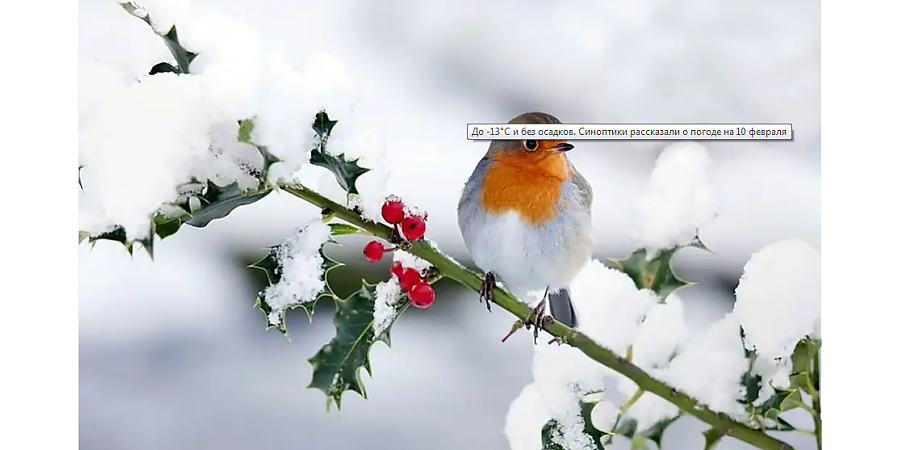 До -13°С и без осадков. Синоптики рассказали о погоде на 10 февраля