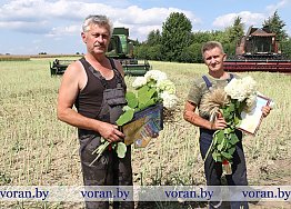 Новости