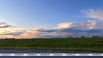 Оранжевый уровень опасности из-за порывистого ветра объявлен в Беларуси 25 июня