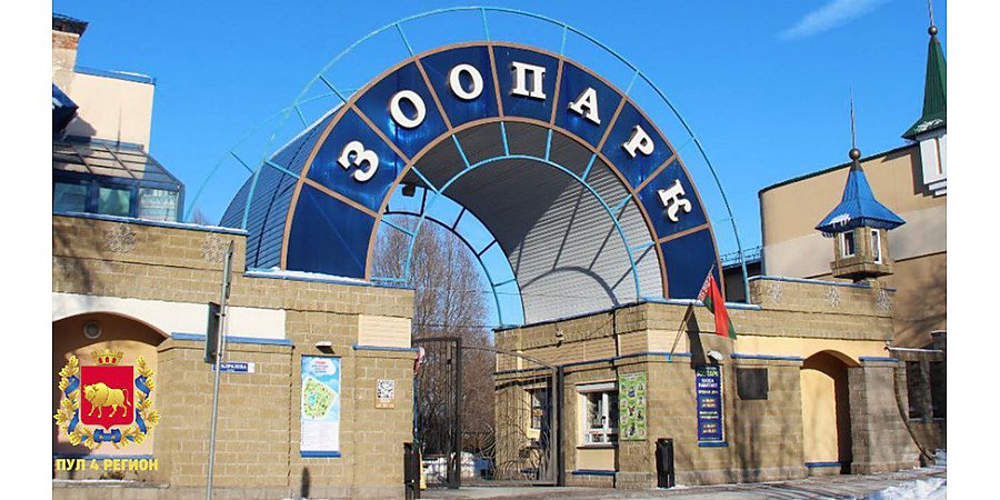Коллекция Гродненского зоопарка в 2025 году пополнилась 45 новыми видами