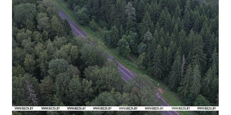 Еще 30 участков дорог Беларуси оборудуют системой контроля средней скорости движения в 2026 году