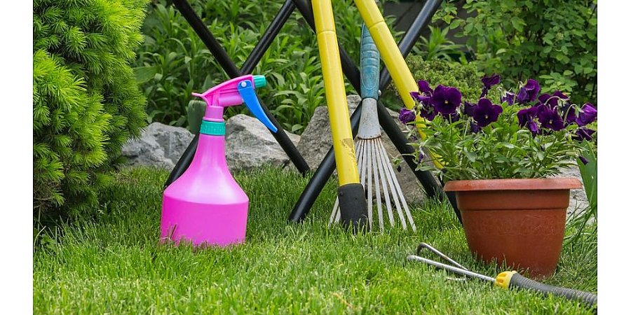 Почему у соседа урожай лучше? Секреты садоводства по знакам зодиака — раскрываем астрологические лайфхаки!