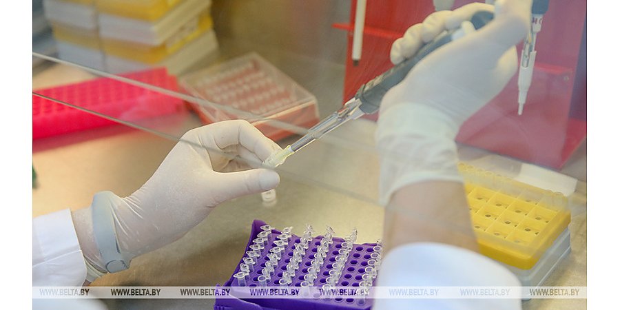 Птичий грипп набирает обороты в Польше, забиты уже миллионы особей 