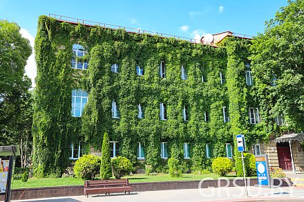 Стоимость обучения в белорусских вузах остается прежней. Повышения в этом году не планируется