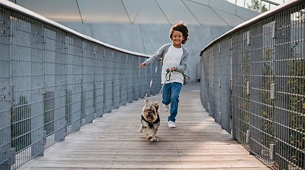 Родителям нужно знать! Врач объяснил, как движение влияет на здоровье мальчиков