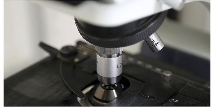 Белорусские ученые вывели на рынок аналог импортного лекарства для лечения эпилепсии