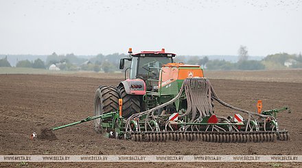 Winter sowing in Belarus 63% complete