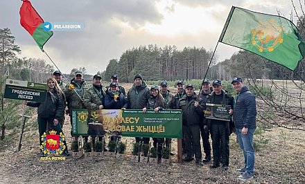 Руководство Гродненского облисполкома присоединилось к Республиканской акции "Дай лесу новае жыццё"