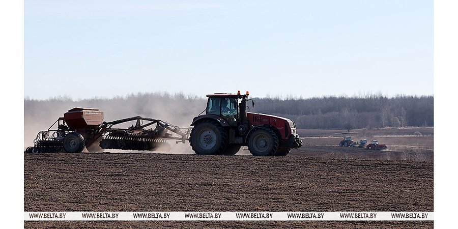 Посадку картофеля в Беларуси выполнили более чем на половину