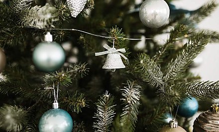 Как продлить жизнь новогодней елки?