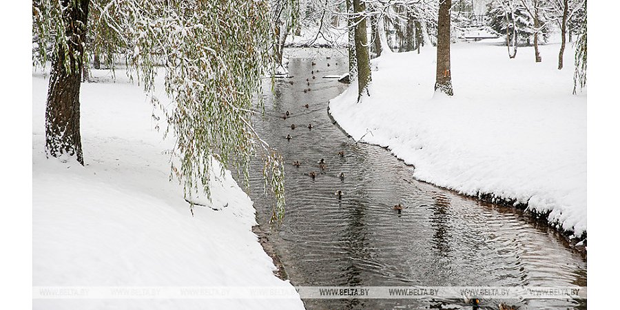 Ночные морозы до -15°С, снег и гололедица. Как начнется зима в Беларуси