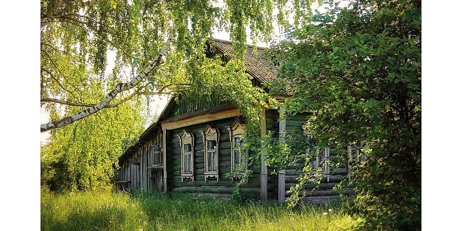 В Гродненской области скупили больше всего пустующих домов в Беларуси