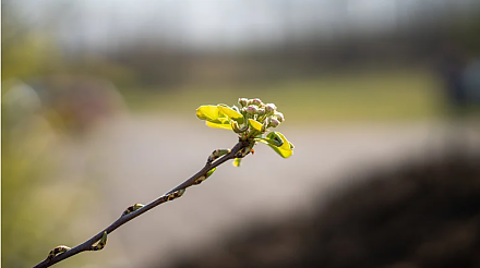 Народные приметы на 14 июня: что можно и нельзя делать в этот день