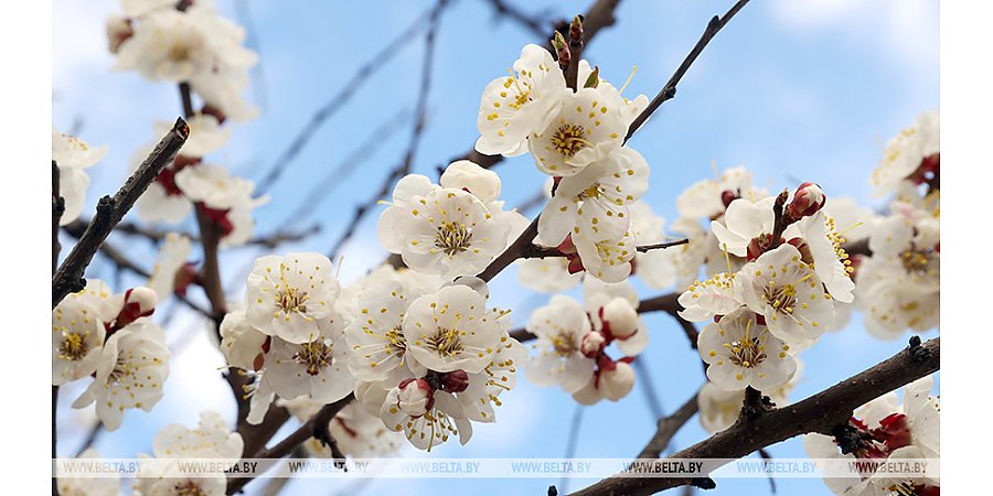 Кому в субботу не обойтись без зонта? Синоптики рассказали о погоде 18 апреля