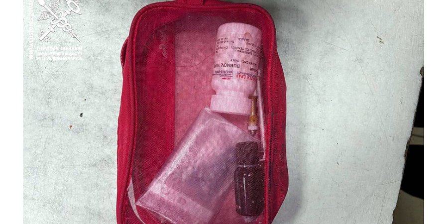 Гродненские таможенники в пункте пропуска "Каменный Лог" изъяли у пассажира автобуса психотроп