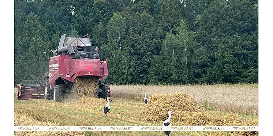 В этом году аграриям страны поставлено 200 новых комбайнов