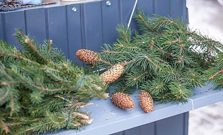 Уже пора? Как утилизировать новогоднюю елку