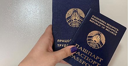 В Гродненской области в августе проведут 13 электронных ярмарок вакансий