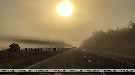Туман и гололедица ожидаются сегодня в Беларуси