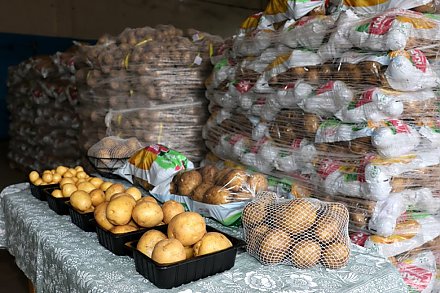 В Зельве начнут выращивать картофель в вакууме. Какие еще производства появятся на Гродненщине?