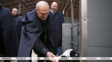 Рабочая суббота у Президента. Куда внепланово приехал Александр Лукашенко и почему взялся за вилы