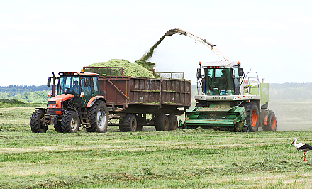 В Комитете госконтроля пройдет "горячая линия" по вопросам заготовки кормов сельскохозяйственными организациями области 