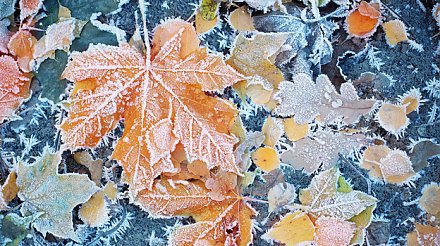 Приметы на 23 ноября 2025: что нельзя делать на Ледолом