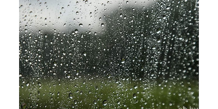 В Беларуси за июнь и июль выпало осадков на треть больше нормы