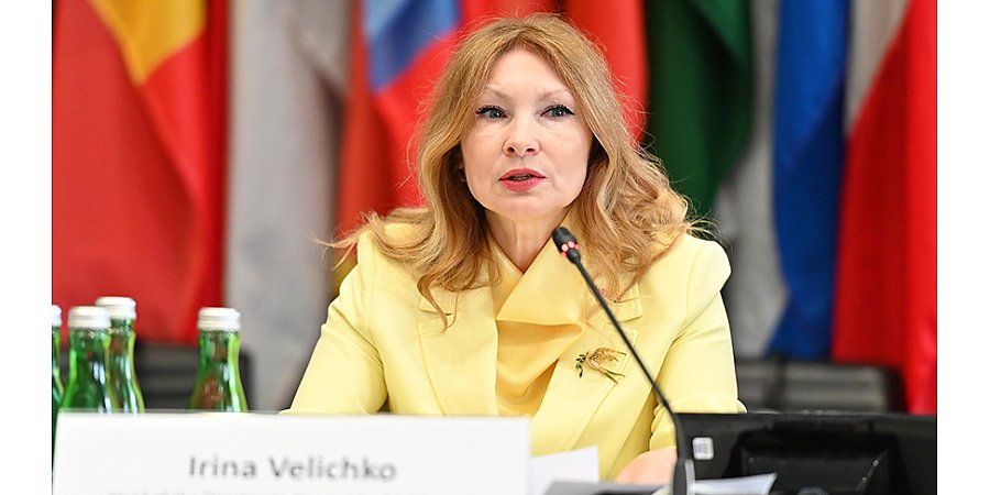Доклад Беларуси и России о нарушениях прав человека в странах Запада представлен в штаб-квартире ОБСЕ videobel.by