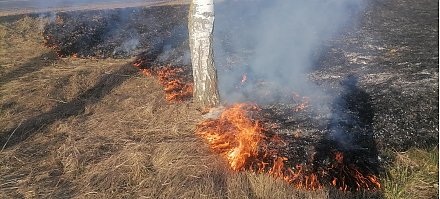 Осторожно! Пожароопасный период, предостерегают спасатели Вороновщины