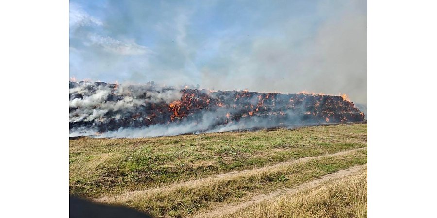 В Сморгонском районе детская шалость со спичками стала причиной пожара, в результате которого сгорело 450 тонн соломы