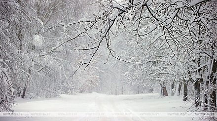 Порадуйте домового игрушкой: народные приметы на 16 февраля 2026
