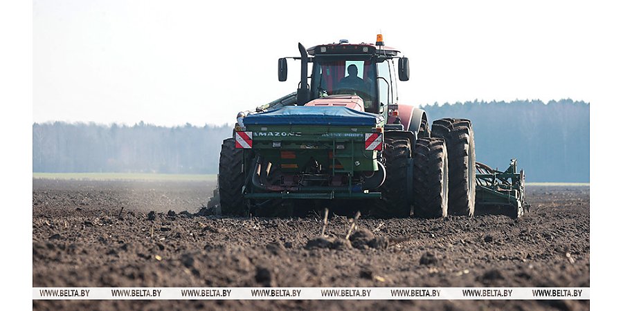 В Беларуси засеяно 16% площадей яровых культур