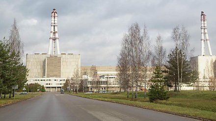 МЧС Беларуси получило информацию от литовской стороны о пожаре на Игналинской АЭС
