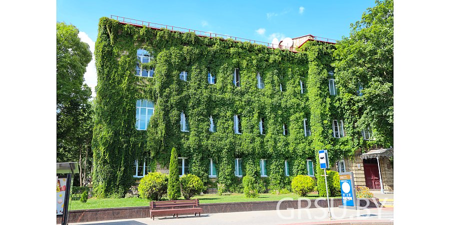 Стоимость обучения в белорусских вузах остается прежней. Повышения в этом году не планируется