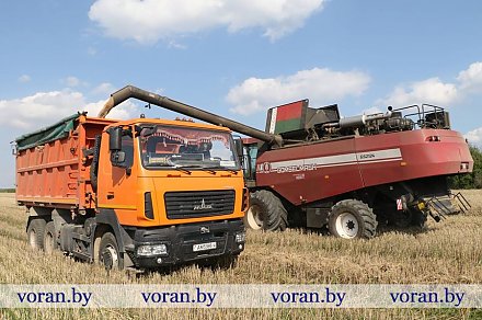 19 августа в Вороновском районе завершена уборка зерновых и зернобобовых культур, рапса