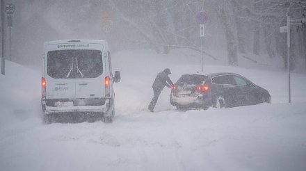 Зима контрастов: белорусский порядок против польского хаоса
